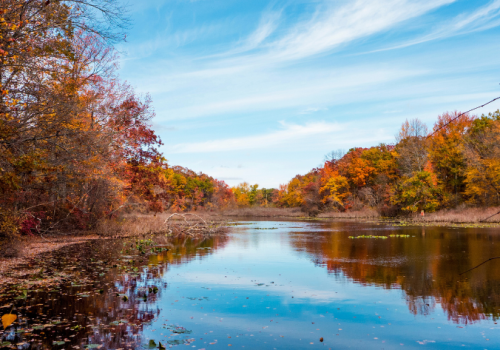 Fall in Tenafly NJ